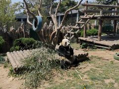 -大连森林动物园