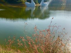 -千岛湖龙川湾