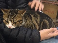 -宠颐生中康贝怡动物医院