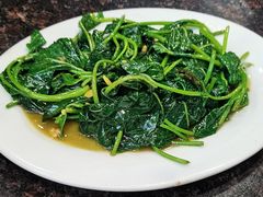 番薯叶-适口餐厅砂锅粥(公信路总店)