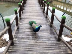 -无锡动物园·太湖欢乐园