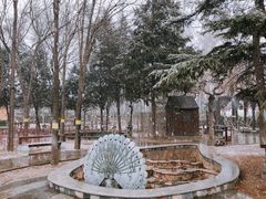 -南宫温泉水世界