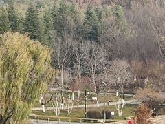-济南植物园