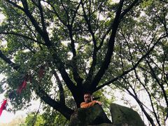 -宝光寺