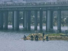 -麓山国际实验学校