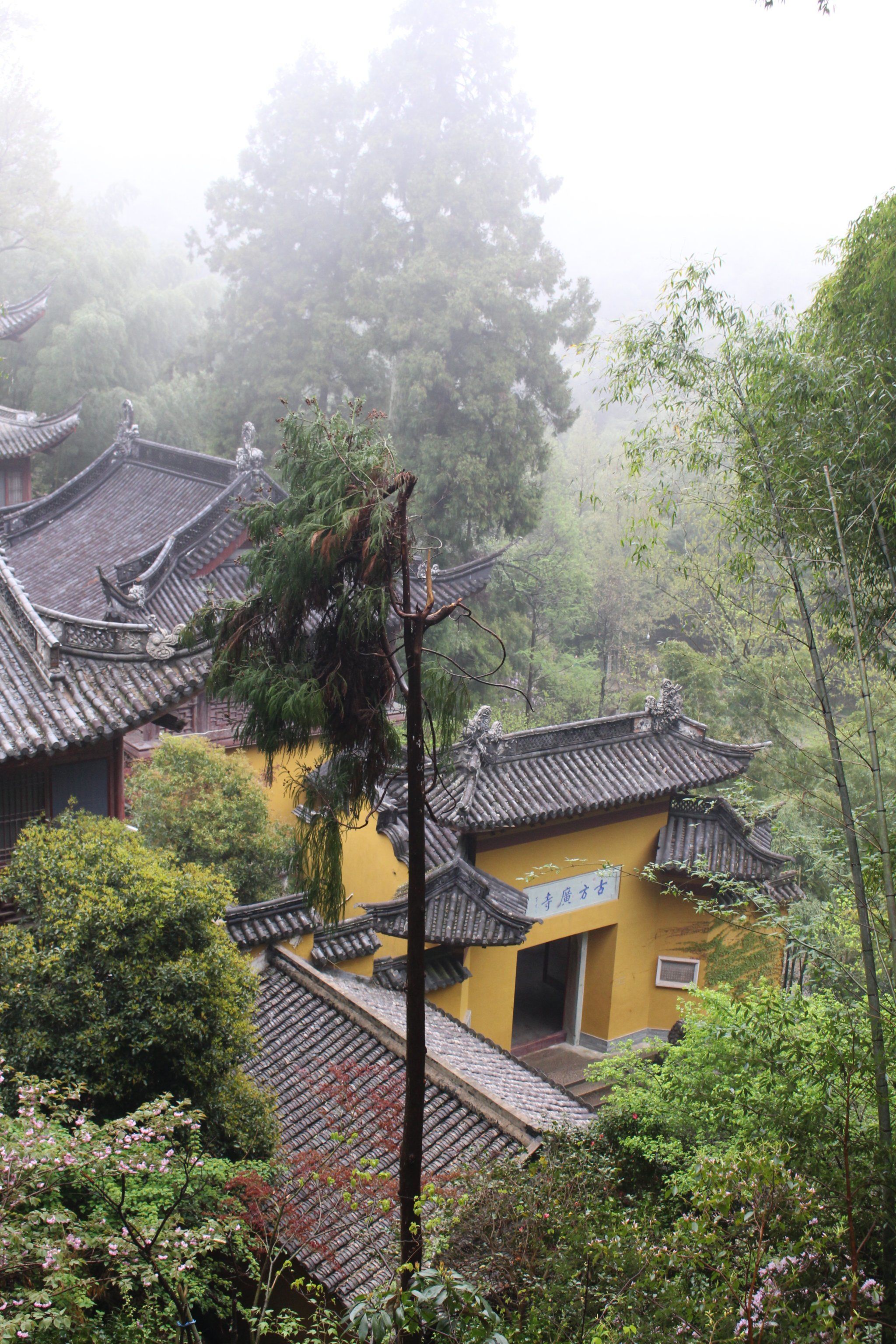 山里的古寺