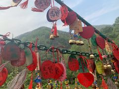 -西双版纳原始森林公园