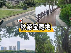 -南宁南湖公园