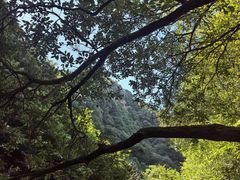 -西安金龙峡风景区