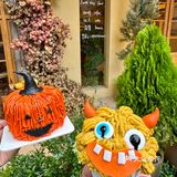 长沙新出的！！万圣节限定🎃好看好拍！！