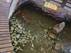 -弘医堂中医院