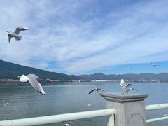 -海埂大坝