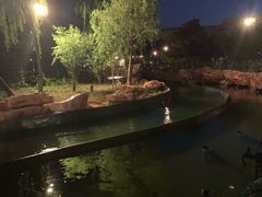 -青岛方特梦幻王国
