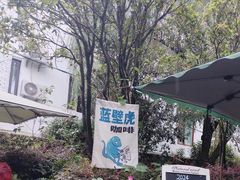 -蓝壁虎咖啡酒馆