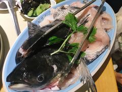 -七椒渔府·特色雅鱼餐厅(雨城店)