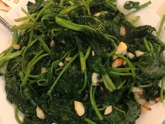 蒜蓉炒豆苗-新港海鮮