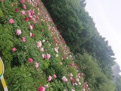 -长春公园(普阳街道)