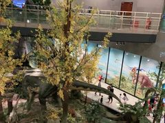 -湖南省地质博物馆