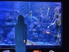 -江和美海洋公园