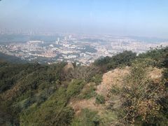 -紫金山山顶公园