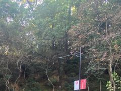 -广州市白云山风景名胜区