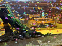 -大江户·温泉洗浴(浑南店)