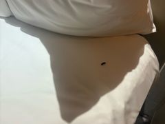 -上海漕河泾万丽酒店