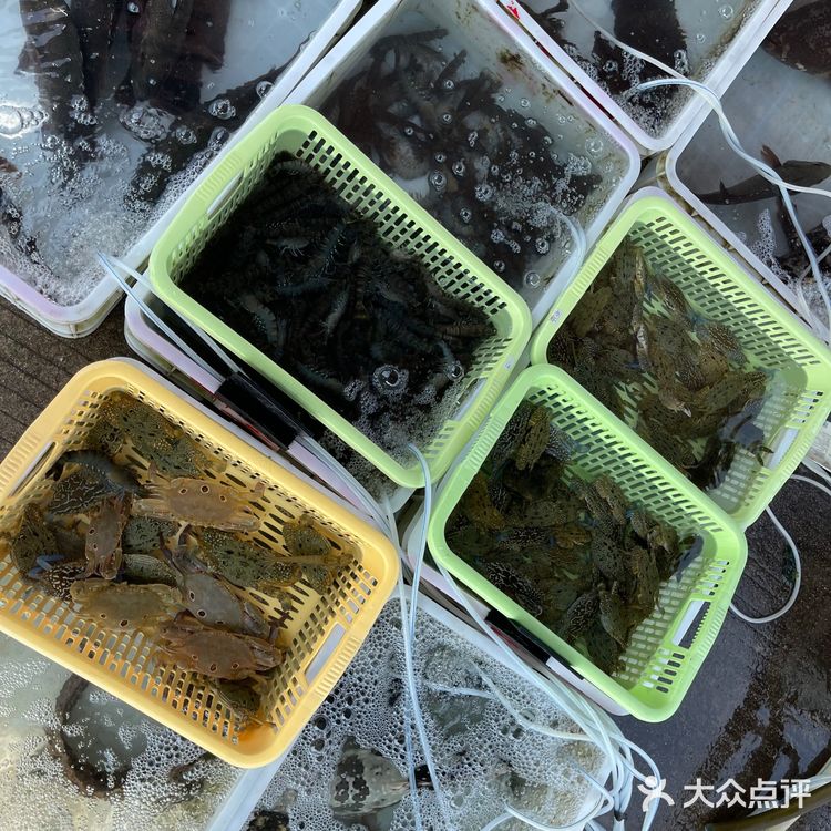 新村码头!海鲜买到爽,帮你避坑!