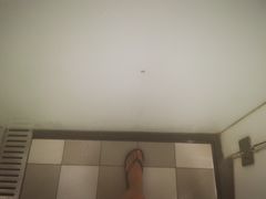 -威尔仕健身(番禺店)