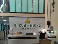 -半岛宠物医院24小时(科华中路店)