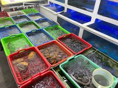 -阿古海鲜大排档(青澳湾自然之门六年好店)