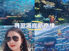 -华夏文旅海洋公园