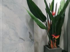 -源味屋韩式火锅&炸鸡(鼎城当代商城店)