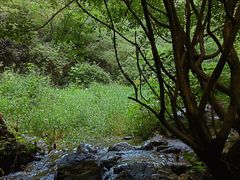 -龙门涧景区