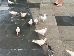 -江燕路万科里