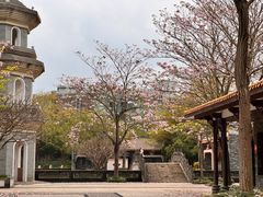 -厦门园林博览苑