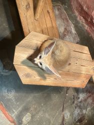 -Zoolung Zoolung动物主题公园(海信广场店)