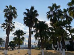 -江心屿景区