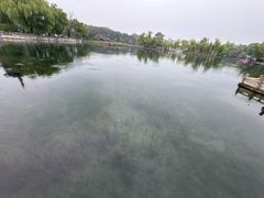 -百脉泉景区