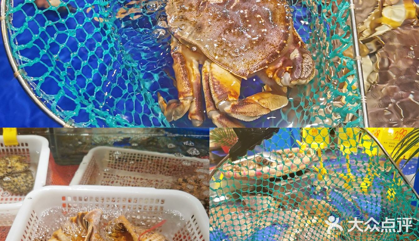 北京探店‼️排队都要吃的地道广东菜·北京人气新店