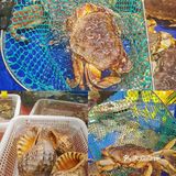 北京探店‼️排队都要吃的地道广东菜·北京人气新店