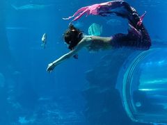 -太平洋海底世界