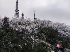 -武陵山森林公园