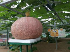 -兰陵国家农业公园