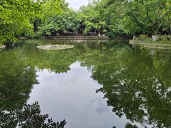-望江楼公园