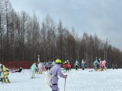 -长白山红松王滑雪场