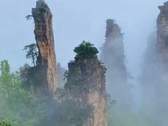 -业华湘·特色菜