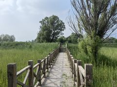 -野鸭湖国家湿地公园