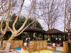 -春晖园度假酒店温泉