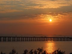 -宝安西湾红树林湿地公园